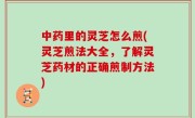 中药里的灵芝怎么煎(灵芝煎法大全，了解灵芝药材的正确煎制方法)
