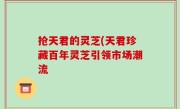 抢天君的灵芝(天君珍藏百年灵芝引领市场潮流