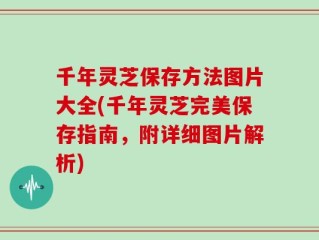 千年灵芝保存方法图片大全(千年灵芝完美保存指南，附详细图片解析)
