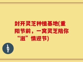 封开灵芝种植基地(重阳节前，一窝灵芝陪你“滋”情迎节)