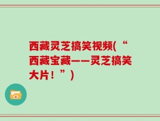 西藏灵芝搞笑视频(“西藏宝藏——灵芝搞笑大片！”)