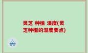 灵芝 种植 湿度(灵芝种植的湿度要点)
