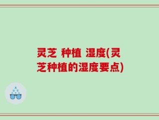 灵芝 种植 湿度(灵芝种植的湿度要点)