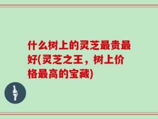 什么树上的灵芝最贵最好(灵芝之王，树上价格最高的宝藏)