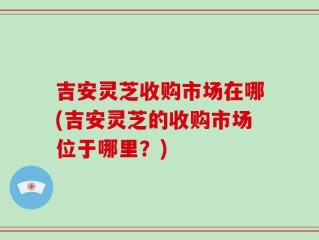 吉安灵芝收购市场在哪(吉安灵芝的收购市场位于哪里？)