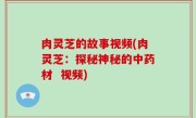 肉灵芝的故事视频(肉灵芝：探秘神秘的中药材  视频)