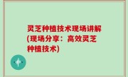 灵芝种植技术现场讲解(现场分享：高效灵芝种植技术)