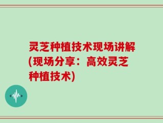 灵芝种植技术现场讲解(现场分享：高效灵芝种植技术)