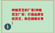 种植灵芝的厂家(种植灵芝厂家：打造品质生态灵芝，助您健康长寿)