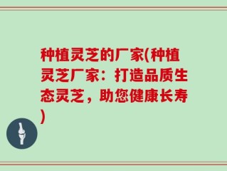 种植灵芝的厂家(种植灵芝厂家：打造品质生态灵芝，助您健康长寿)