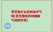 灵芝加什么药材治疗气短(灵芝搭配药材缓解气短的疗效)