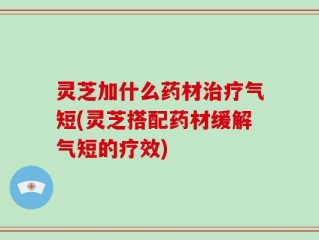 灵芝加什么药材治疗气短(灵芝搭配药材缓解气短的疗效)