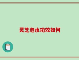 灵芝泡水功效如何
