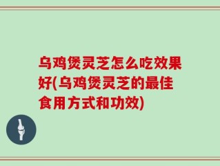 乌鸡煲灵芝怎么吃效果好(乌鸡煲灵芝的最佳食用方式和功效)