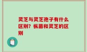 灵芝与灵芝孢子有什么区别？枞菌和灵芝的区别