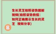 生长灵芝拍照姿势图解视频(拍照姿势教程：如何正确展示生长的灵芝  视频分享)