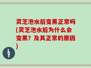 灵芝泡水后变黑正常吗(灵芝泡水后为什么会变黑？及其正常的原因)