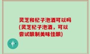 灵芝和杞子泡酒可以吗(灵芝杞子泡酒，可以尝试酿制美味佳酿)