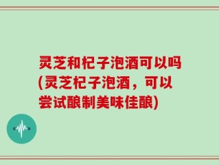 灵芝和杞子泡酒可以吗(灵芝杞子泡酒，可以尝试酿制美味佳酿)