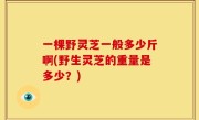 一棵野灵芝一般多少斤啊(野生灵芝的重量是多少？)