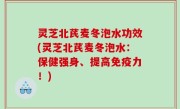 灵芝北芪麦冬泡水功效(灵芝北芪麦冬泡水：保健强身、提高免疫力！)