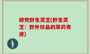 研究野生灵芝(野生灵芝：野外珍品的草药奇迹)