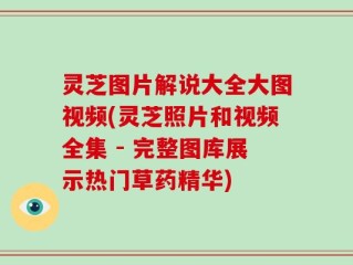 灵芝图片解说大全大图视频(灵芝照片和视频全集 - 完整图库展示热门草药精华)