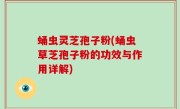 蛹虫灵芝孢子粉(蛹虫草芝孢子粉的功效与作用详解)