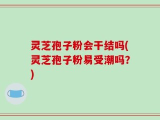 灵芝孢子粉会干结吗(灵芝孢子粉易受潮吗？)