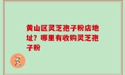 黄山区灵芝孢子粉店地址？哪里有收购灵芝孢子粉