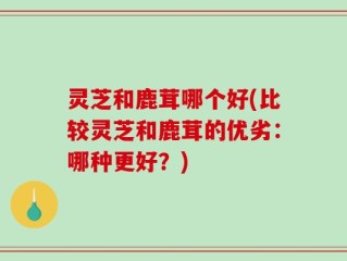 灵芝和鹿茸哪个好(比较灵芝和鹿茸的优劣：哪种更好？)
