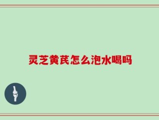 灵芝黄芪怎么泡水喝吗