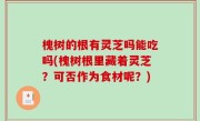 槐树的根有灵芝吗能吃吗(槐树根里藏着灵芝？可否作为食材呢？)
