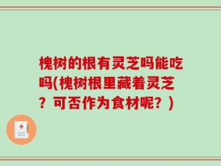 槐树的根有灵芝吗能吃吗(槐树根里藏着灵芝？可否作为食材呢？)