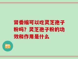 肾委缩可以吃灵芝孢子粉吗？灵芝孢子粉的功效和作用是什么