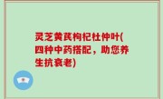 灵芝黄芪枸杞杜仲叶(四种中药搭配，助您养生抗衰老)