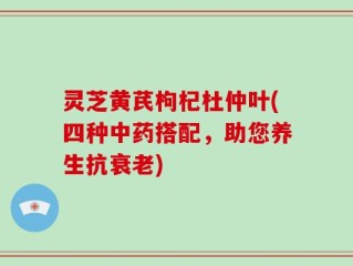 灵芝黄芪枸杞杜仲叶(四种中药搭配，助您养生抗衰老)