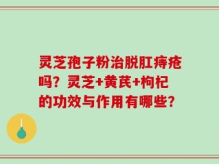灵芝孢子粉治脱肛痔疮吗？灵芝+黄芪+枸杞的功效与作用有哪些？