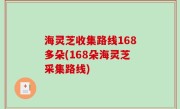 海灵芝收集路线168多朵(168朵海灵芝采集路线)