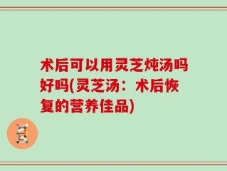 术后可以用灵芝炖汤吗好吗(灵芝汤：术后恢复的营养佳品)