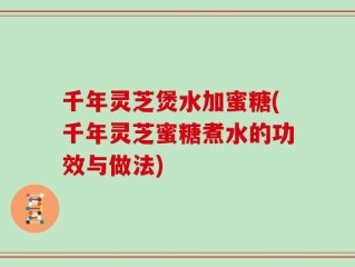 千年灵芝煲水加蜜糖(千年灵芝蜜糖煮水的功效与做法)