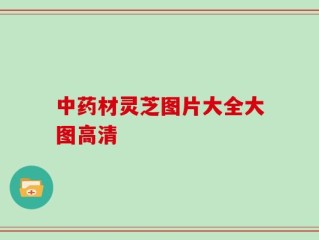 中药材灵芝图片大全大图高清