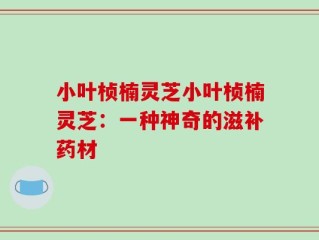 小叶桢楠灵芝小叶桢楠灵芝：一种神奇的滋补药材