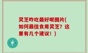 灵芝咋吃最好呢图片(如何最佳食用灵芝？这里有几个建议！)