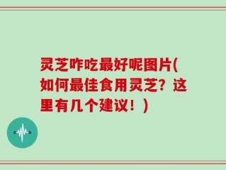 灵芝咋吃最好呢图片(如何最佳食用灵芝？这里有几个建议！)