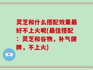 灵芝和什么搭配效果最好不上火呢(最佳搭配：灵芝和谷物，补气健脾，不上火)