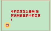 中药灵芝怎么鉴别(如何识别真正的中药灵芝)