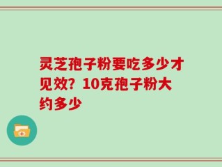 灵芝孢子粉要吃多少才见效？10克孢子粉大约多少