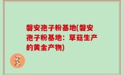 磐安孢子粉基地(磐安孢子粉基地：草菇生产的黄金产物)