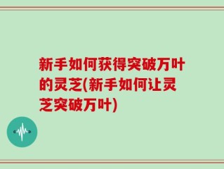 新手如何获得突破万叶的灵芝(新手如何让灵芝突破万叶)